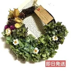 Item thumbnail for item 623a1d1a-6c61-45d0-8572-fb1c36d87e11