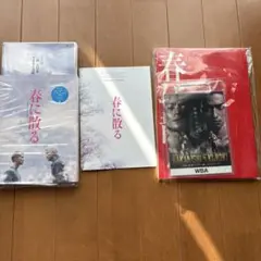 春に散る コレクターズ・エディション('23映画「春に散る」製作委員会)〈2枚…