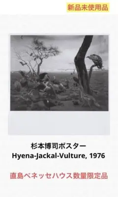 杉本博司　ポスター　直島限定　数量限定　ハイエナ、ジャッカル、ハゲワシ Amazon.co.jp: 杉本博司 ハイエナ、ジャッカル、コンドル