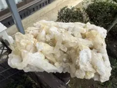 Item thumbnail for item 45a4a3cf-c27e-446e-9474-c09c50aa13ae