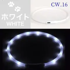 Item thumbnail for item 541d0620-8860-49e3-8ad4-d912b2a3ffd8