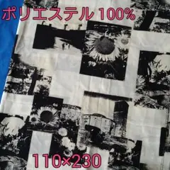 生地 ポリエステル100% 110×230