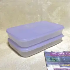 Item thumbnail for item d43ded79-2189-4848-865e-992656391532