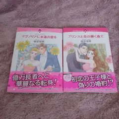 綾部瑞穂 プリンスと恋の輝く森で マグノリアに永遠の愛を 2冊セット