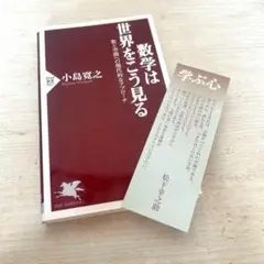 【割引】　数学は世界をこう見る : 数と空間への現代的なアプローチ　小島