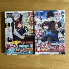 小説　「隠れ才女は全然めげない」　「人質姫が、消息を絶った。」　2冊セット
