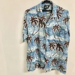 Item thumbnail for item e733d623-6b13-4e8e-8611-9b622fd7a798