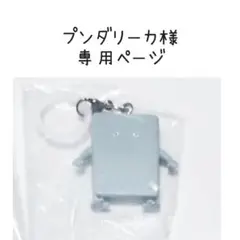 専用ページ