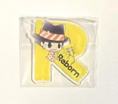 家庭教師ヒットマンREBORN！アクリルバッジコレクション第2弾 リボーン