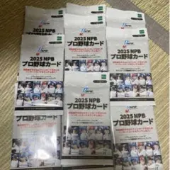 epoch NPB 2025 10パック