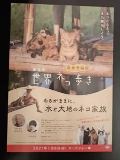 【処分予定最終売り尽くし】映画 世界ネコ歩き 2021年1月8日公開 フライヤー