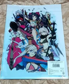 未使用 ワダアルコ展 ダブルポケットクリアファイル[B] FGO 水着