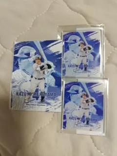 東京ヤクルトスワローズ　オンラインくじ　丸山和郁選手