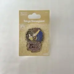2020 ディズニーランド 美女と野獣 ピンバッジ