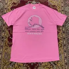 90s シングルステッチ アンカレッジ　ノースアメリカ　メッセージT