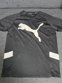 PUMA ブラック Tシャツ 3枚セット