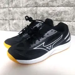 Item thumbnail for item 25c7d4c9-5e7c-4aee-823f-76d1f6c92c03