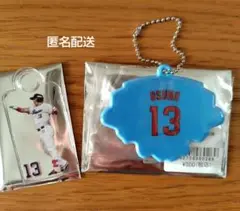 オスナ　アクリルチャーム　リフレクターキーホルダー　東京ヤクルトスワローズ