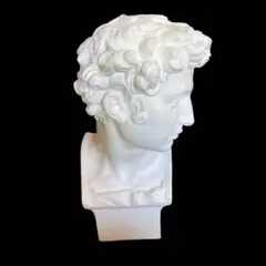 石膏像 メディチ 胸像 顔 美術 スケッチ インテリア 石川古代彫刻SS 石膏像 メディチ 胸像 顔 美術 スケッチ インテリア 石川古代