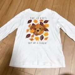 ラルフローレン　キッズ　120
