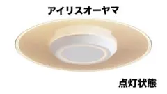 小型シーリングライト 導光板 1500lm