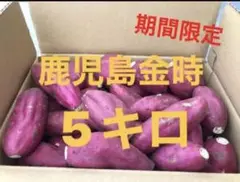鹿児島金時