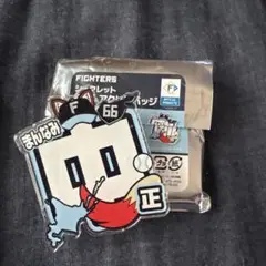 日本ハムファイターズ WELOVEHOKKAIDOネームアクリルバッジ 万波中正