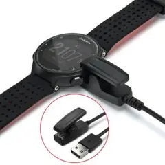 vL GARMIN タイプC USB充電 Lily235645735ガーミン t
