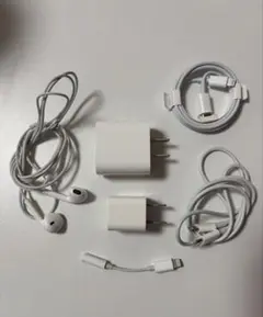 Apple 充電器 イヤフォン セット