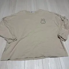 Item thumbnail for item 672f65c4-56d5-49f1-93a3-ae11881729b8
