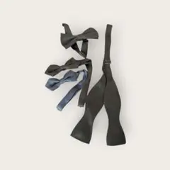 Item thumbnail for item e67aced6-0bd2-471c-8319-c9b584367f4c