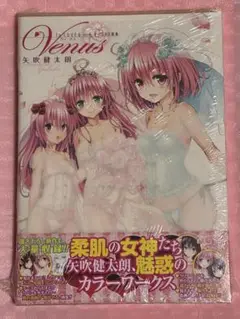 【新品・未開封】To LOVEる ダークネス画集 Venus 矢吹健太朗