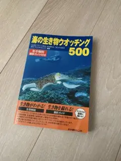 aiさま専用