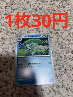ハスブレロ 組み合わせ自由 バトルパートナーズ