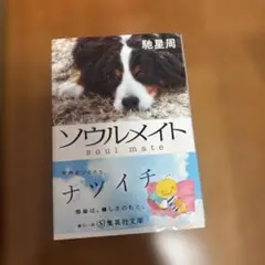 ソウルメイト