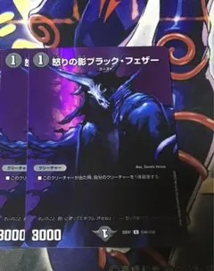 2枚　ブラックフェザー　デュエキング版