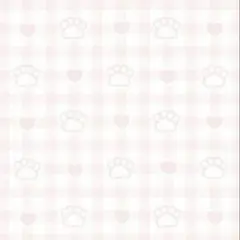 専用