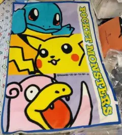 ポケットモンスター 　厚手毛布