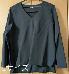 【美品】KAREI 袖フレア カットソー Lサイズ きれいめ 大人可愛い