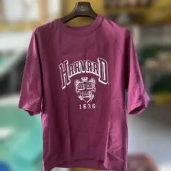 UNIQLO UT ハーバード大学 Tシャツ XL