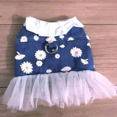 Item thumbnail for item e9d2bdf0-4172-4514-a37e-3daf2cf7620f