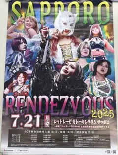 非売品　スターダム　STARDOM ポスター
