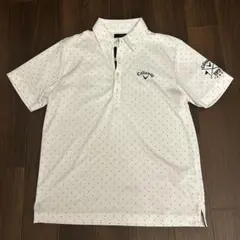 Item thumbnail for item 2406d7ed-1b0f-4835-9e42-659234b1604b