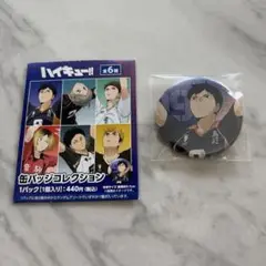 ハイキュー!! 缶バッジ コレクション