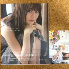 【即購入OK】乃木坂46 生田絵梨花写真集 インターミッション
