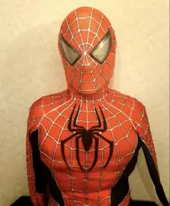 スパイダーマン ハイクオリティ シェル レプリカ マスク サムライミ アトラク ✨ピーター様✨専用スパイダーマン シェル レプリカ マスク