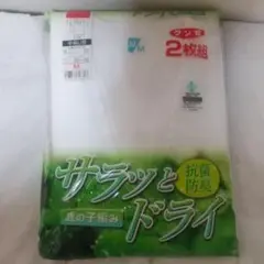 GUNZE　グンゼ　 半袖UネックTシャツ 2枚組 　鹿の子編み　М　ドライ