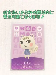 未使用.あつ森amiiboカード.ジュン