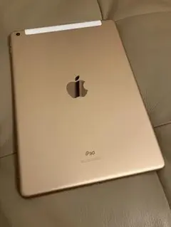 Apple iPad 2019購入