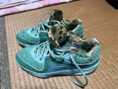 Item thumbnail for item e22271c3-04cd-4a0e-acea-3cae70ca572c